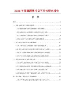 2026年按摩腰垫项目可行性研究报告