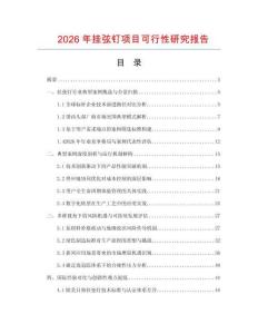 2026年挂弦钉项目可行性研究报告