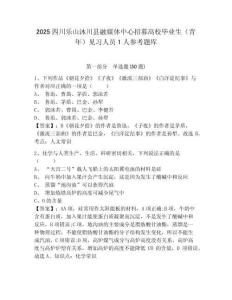 2025四川樂山沐川縣融媒體中心招募高校畢業生（青年）見習人員1人參考題庫含答案詳解（綜合卷）