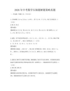 2026年中考數(shù)學(xué)壓軸題解題策略真題