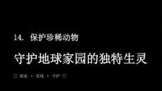 2026春浙美版（新教材）小學(xué)美術(shù)三年級下冊第五單元地球家園《14.保護珍稀動物》教學(xué)課件