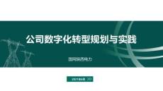 2026年-公司數(shù)字化轉(zhuǎn)型規(guī)劃與實(shí)踐-解決方案