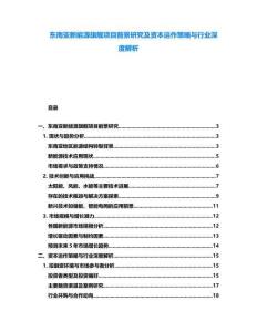 東南亞新能源旗艦項目前景研究及資本運作策略與行業(yè)深度解析