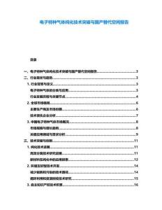 電子特種氣體純化技術突破與國產替代空間報告