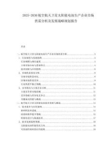 2025-2030航空航天衛(wèi)星太陽能電池生產(chǎn)企業(yè)市場供需分析及發(fā)展戰(zhàn)略規(guī)劃報告