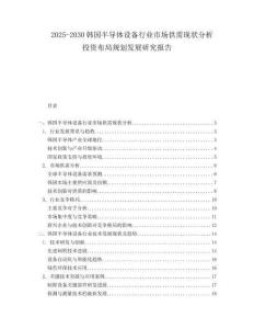 2025-2030韓國半導體設備行業市場供需現狀分析投資布局規劃發展研究報告