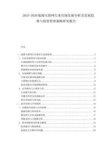 2025-2030能源互聯網行業市場發展分析及發展趨勢與投資管理策略研究報告