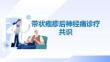 带状疱疹后神经痛诊疗共识