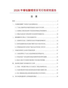 2026年鎳鈷酸鋰項(xiàng)目可行性研究報告
