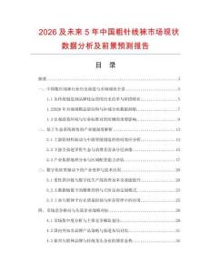 2026及未來5年中國粗針線襪市場現(xiàn)狀數(shù)據(jù)分析及前景預測報告