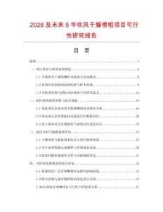 2026及未來5年吹風干燥噴咀項目可行性研究報告