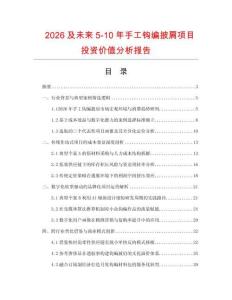 2026及未来5-10年手工钩编披肩项目投资价值分析报告