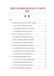 2026年實芯橡膠密封條項目可行性研究報告