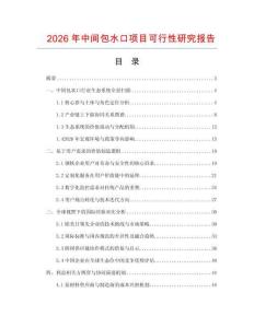 2026年中間包水口項目可行性研究報告