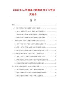 2026年N-甲基单乙醇胺项目可行性研究报告