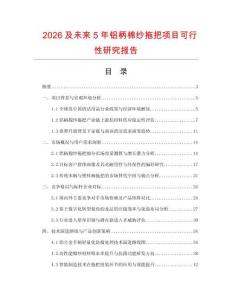 2026及未來5年鋁柄棉紗拖把項目可行性研究報告