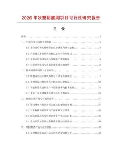 2026年吹塑柄窗刷項目可行性研究報告
