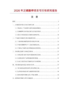 2026年次磷酸钾项目可行性研究报告