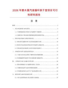 2026年燃木屑汽液循環(huán)烘干室項目可行性研究報告