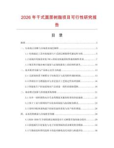 2026年干式面層樹脂項目可行性研究報告