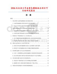 2026及未来5年金黄色膨胀蛭石项目可行性研究报告