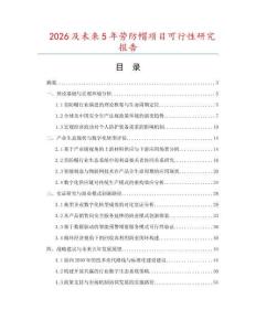 2026及未來5年勞防帽項(xiàng)目可行性研究報(bào)告