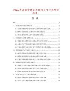 2026年高致密锆英石砖项目可行性研究报告