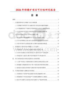 2026年锌精矿项目可行性研究报告