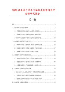 2026及未來5年手工編織手機袋項目可行性研究報告