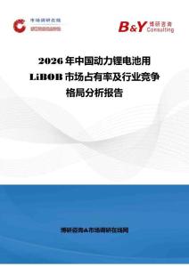 2026年中國動力鋰電池用LiBOB市場占有率及行業競爭格局分析報告