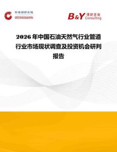 2026年中國石油天然氣行業(yè)管道行業(yè)市場現(xiàn)狀調(diào)查及投資機會研判報告