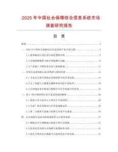 2025年中國社會保障綜合信息系統市場調查研究報告