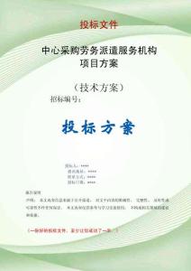 中心采購勞務(wù)派遣服務(wù)機構(gòu)項目方案投標(biāo)文件（技術(shù)標(biāo)）