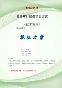 案件審計服務(wù)項目方案投標(biāo)文件（技術(shù)標(biāo)）