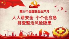 【课件】2026安全生产月主题宣讲课件 (2)