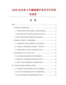 2026及未来5年藤编壁灯项目可行性研究报告