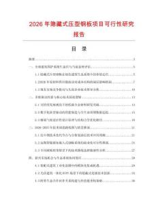 2026年隱藏式壓型鋼板項(xiàng)目可行性研究報(bào)告