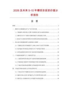 2026及未來5-10年穗項目投資價值分析報告
