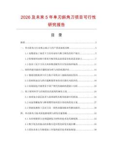 2026及未來5年單刃斜角刀項目可行性研究報告