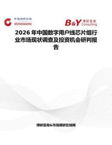 2026年中國數字用戶線芯片組行業市場現狀調查及投資機會研判報告