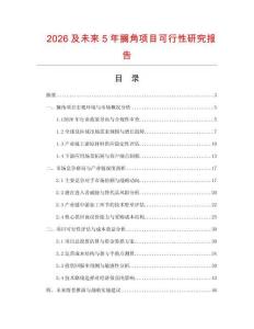 2026及未來5年擱角項目可行性研究報告