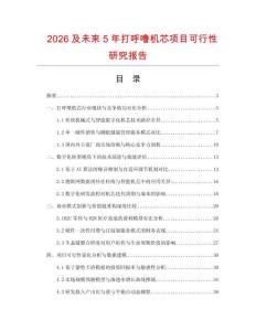 2026及未來5年打呼嚕機芯項目可行性研究報告