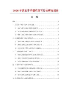 2026年美发干手器项目可行性研究报告