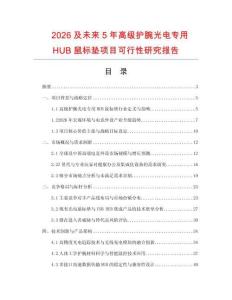 2026及未來5年高級護腕光電專用HUB鼠標墊項目可行性研究報告