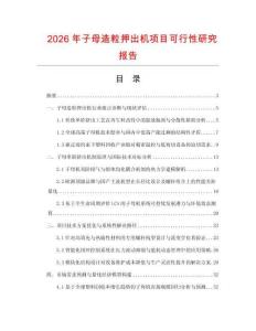 2026年子母造粒押出机项目可行性研究报告