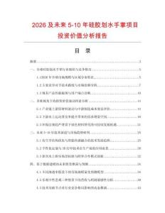 2026及未來5-10年硅膠劃水手掌項目投資價值分析報告