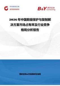 2026年中國數(shù)據(jù)保護與復(fù)制解決方案市場占有率及行業(yè)競爭格局分析報告