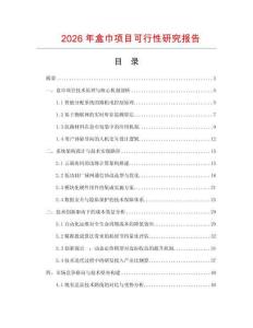 2026年盒巾項(xiàng)目可行性研究報(bào)告