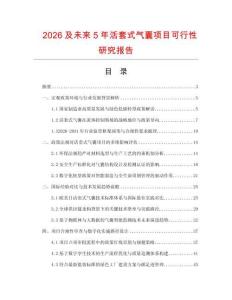 2026及未來5年活套式氣囊項(xiàng)目可行性研究報(bào)告