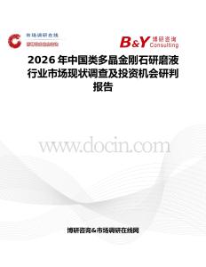 2026年中國類多晶金剛石研磨液行業市場現狀調查及投資機會研判報告